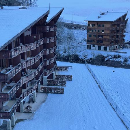 Mountain River Appart Val dʼIlliez Εξωτερικό φωτογραφία